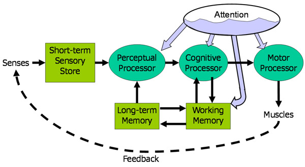 Human Information Processing