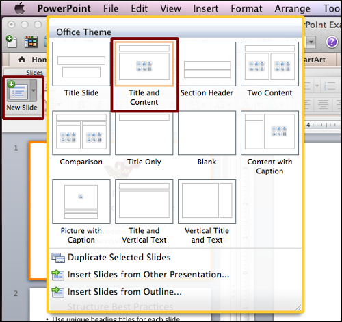PowerPoint Slide Layout