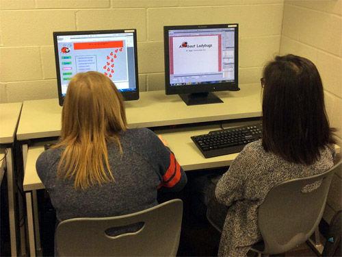 AP Computer Science Principles at Yorkville High School