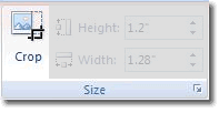 The Crop Tool