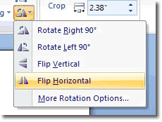 Rotate or Flip